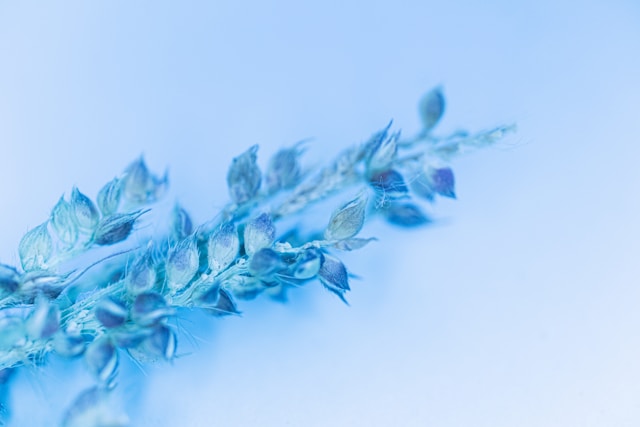 danielle-suijkerbuijk-ywPnaIwV8pE-unsplash (2)